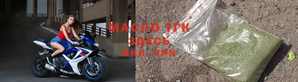 индика Михайловск