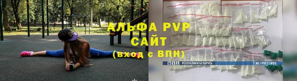 прущие грибы Михайловка