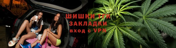 индика Михайловск
