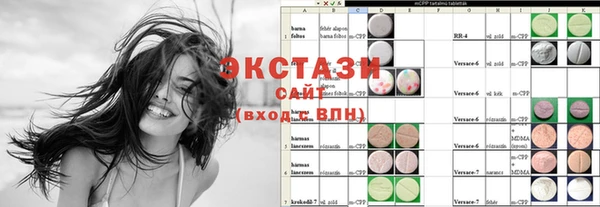 индика Михайловск