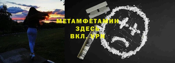 прущие грибы Михайловка
