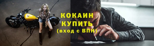 индика Михайловск