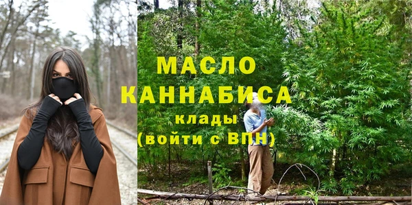 индика Михайловск