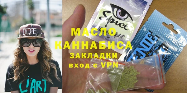 индика Володарск