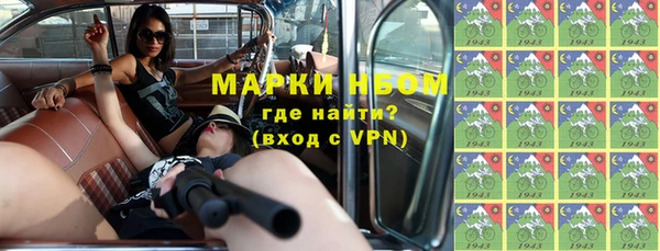 индика Михайловск