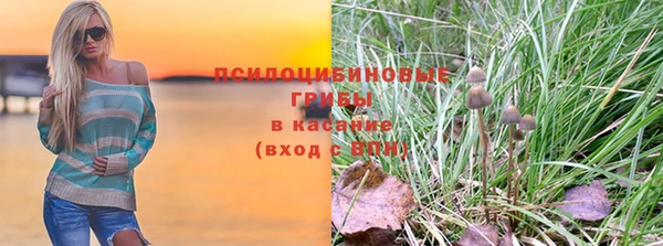 Альфа ПВП Заволжск