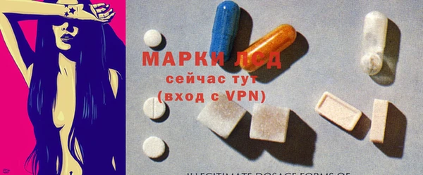 индика Михайловск