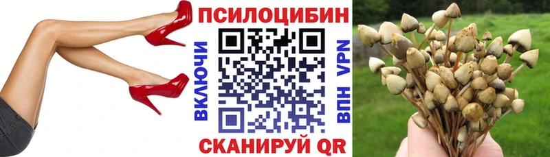 закладка Ахтубинск Псилоцибиновые грибы MAGIC MUSHROOMS