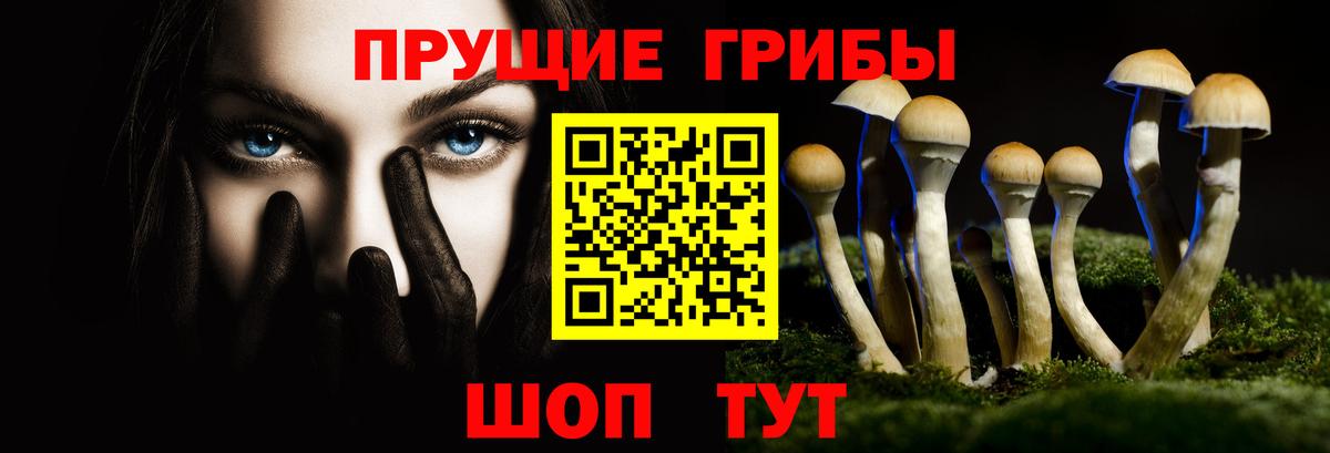 Галлюциногенные грибы GOLDEN TEACHER Ахтубинск